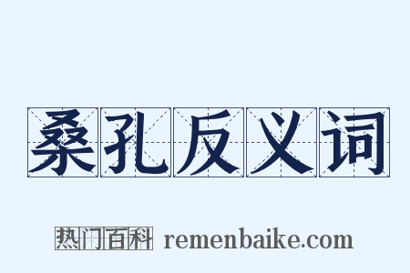 桑孔反义词是什么意思的图片